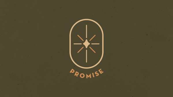 Promise